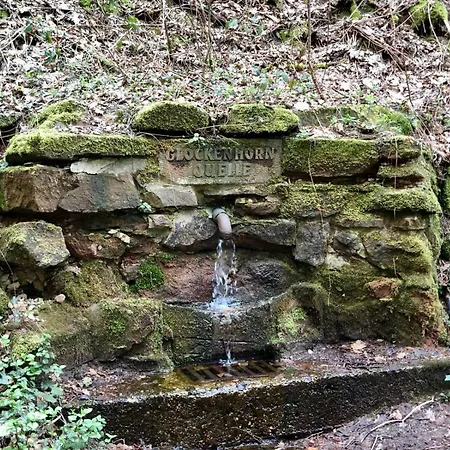 Apartamento Zur Glockenhornquelle *